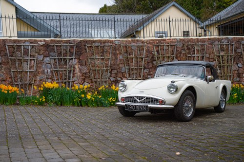 1964 Daimler Dart SP250 In vendita (immagine 23 di 244)
