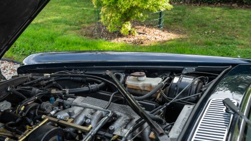 1991 Daimler Double Six In vendita (immagine 160 di 203)