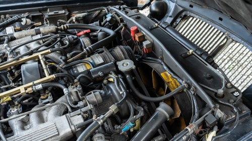 1991 Daimler Double Six In vendita (immagine 158 di 203)