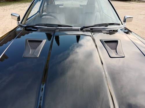 1981 Nissan Datsun 280ZX Te koop (foto 142 van 187)