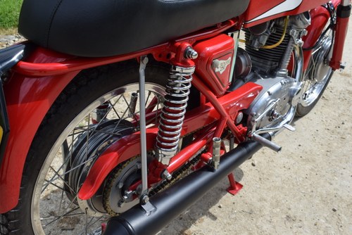 1973 Ducati 250cc 24 Horas zum Verkauf (Bild 64 von 90)