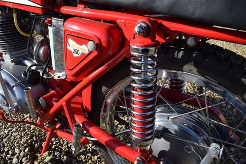 1973 Ducati 250cc 24 Horas zum Verkauf (Bild 56 von 90)