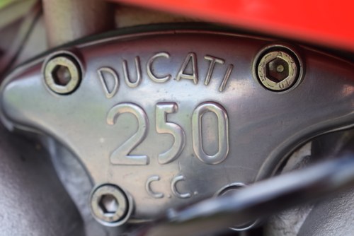 1973 Ducati 250cc 24 Horas zum Verkauf (Bild 68 von 90)