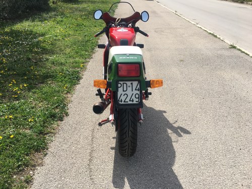 1987 Ducati 750 F1 Desmo In vendita (immagine 15 di 79)