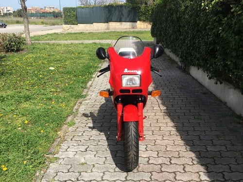 1987 Ducati 750 F1 Desmo In vendita (immagine 20 di 79)