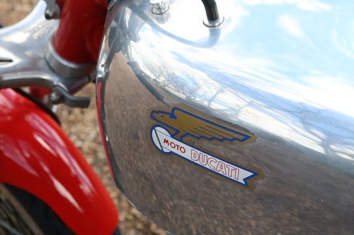 1968-73 Ducati Desmo 350 Racer zum Verkauf (Bild 19 von 92)