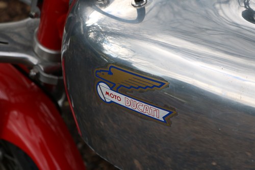 1968-73 Ducati Desmo 350 Racer zum Verkauf (Bild 71 von 92)