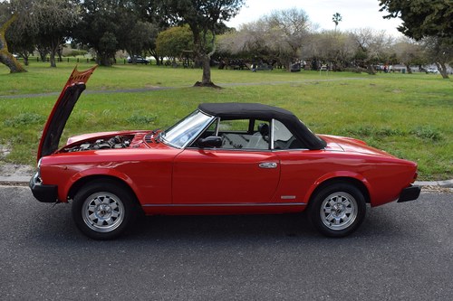 1986 Fiat Pininfarina 124 Spyder Europa zum Verkauf (Bild 14 von 45)