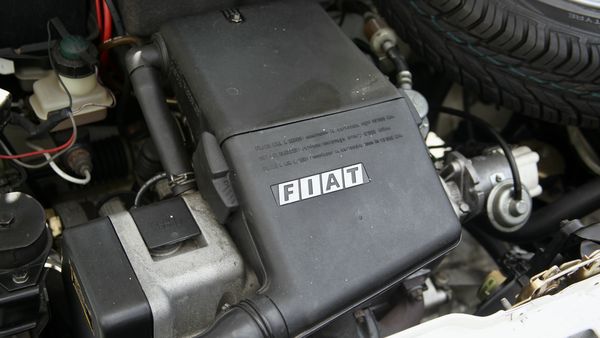 1987 Fiat Panda Bianca For Sale (picture :index of 73)