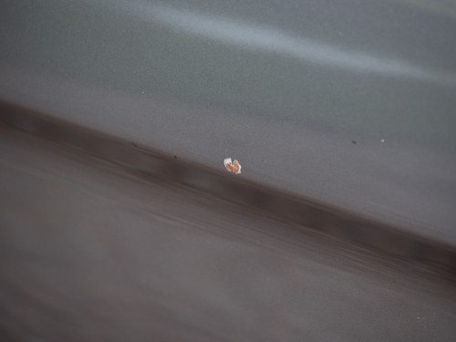 1965 Ford Mustang 4.7 C-Code In vendita (immagine 144 di 232)