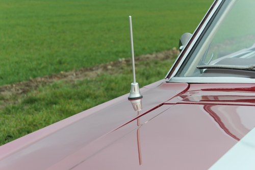 1966 Ford Mustang zum Verkauf (Bild 96 von 130)