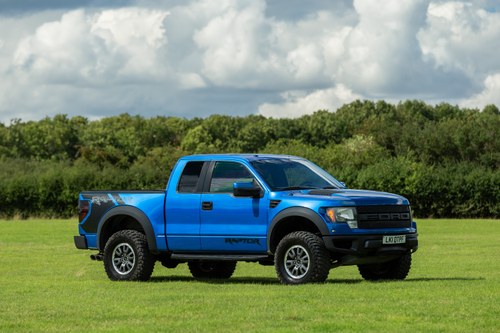 2010 Ford F150 SVT Raptor In vendita (immagine 18 di 192)
