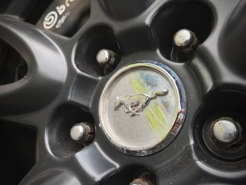 2010 Ford Mustang GT 5-litre V8 LHD zum Verkauf (Bild 39 von 144)