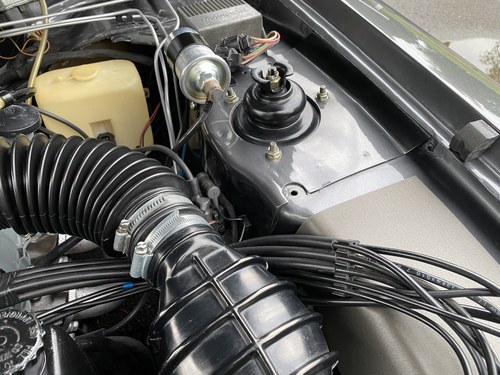 1981 Ford Capri 2.8 Injection For Sale (picture 197 of 253)