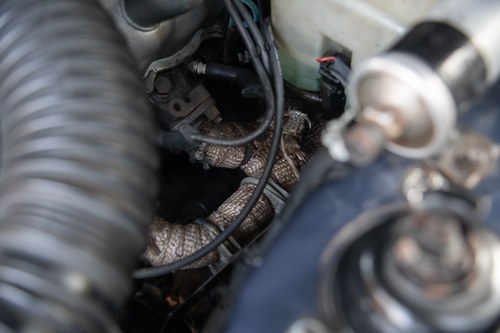 1985 Ford Capri 2.8 Injection Special zum Verkauf (Bild 120 von 174)