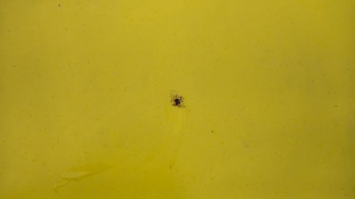 NO RESERVE - 1972 Ford Cortina GT For Sale (picture 140 of 175)