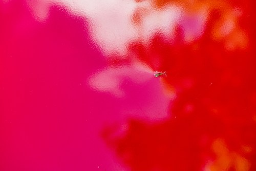 1966 Ford Cortina GT Mk I four-door In vendita (immagine 104 di 120)