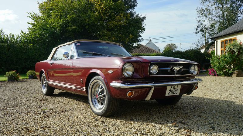 1965 Mustang GT Convertible For Sale (picture 1 of 132)