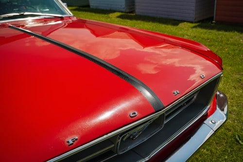 1967 Ford Mustang Convertible LHD à vendre (picture 141 of 249)
