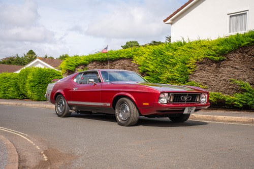 1973 Ford Mustang Fastback à vendre (picture 3 of 172)
