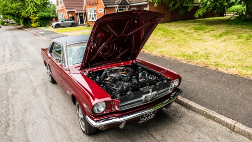 1964 Ford Mustang Coupe 289 LHD à vendre (picture 120 of 165)