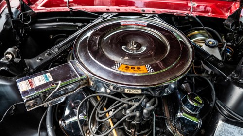 1964 Ford Mustang Coupe 289 LHD à vendre (picture 131 of 165)