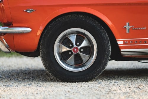 1964 Ford Mustang (LHD) For Sale (picture 16 of 135)
