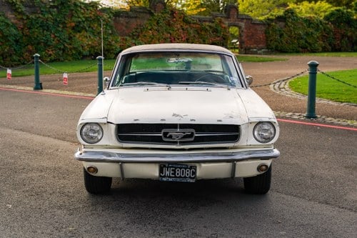 1965 Ford Mustang Project For Sale (picture 6 of 239)