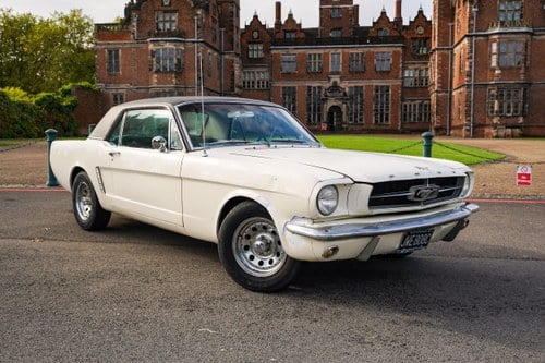 1965 Ford Mustang Project For Sale (picture 1 of 239)