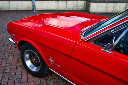 1966 Ford Mustang Coupe (LHD) In vendita (immagine 155 di 247)