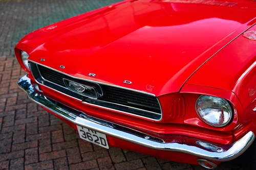 1966 Ford Mustang Coupe (LHD) In vendita (immagine 150 di 247)