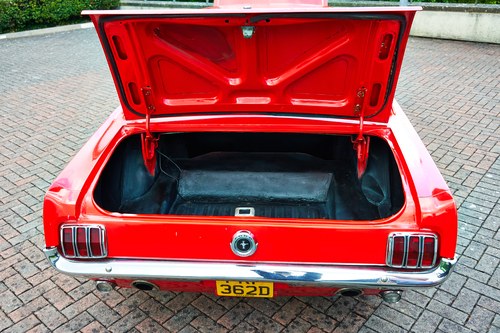 1966 Ford Mustang Coupe (LHD) In vendita (immagine 119 di 247)