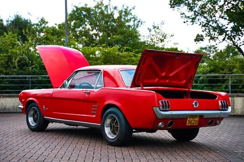 1966 Ford Mustang Coupe (LHD) In vendita (immagine 124 di 247)