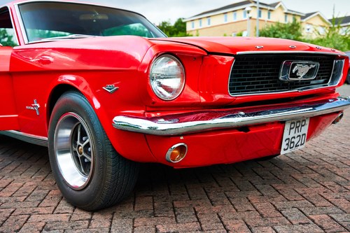 1966 Ford Mustang Coupe (LHD) In vendita (immagine 168 di 247)
