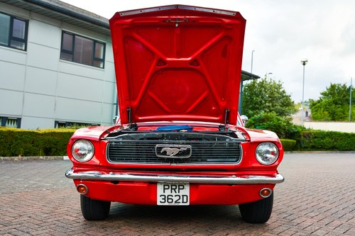 1966 Ford Mustang Coupe (LHD) In vendita (immagine 113 di 247)