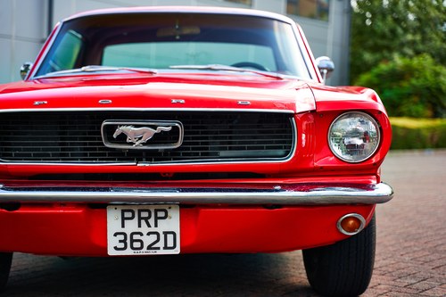 1966 Ford Mustang Coupe (LHD) In vendita (immagine 149 di 247)