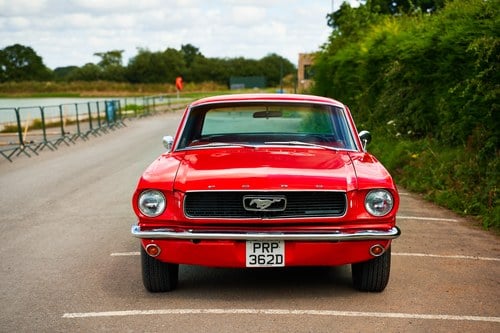 1966 Ford Mustang Coupe (LHD) In vendita (immagine 15 di 247)