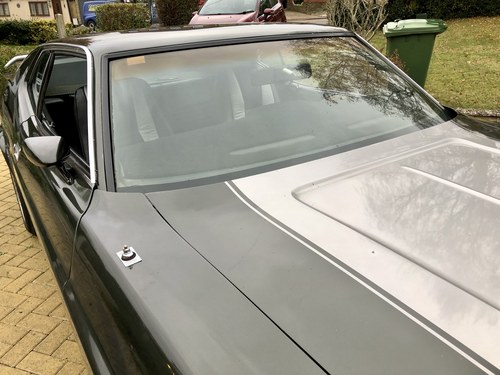 RESERVE LOWERED - 1971 Ford Mustang Mach 1 En venta (imagen 39 de 52)