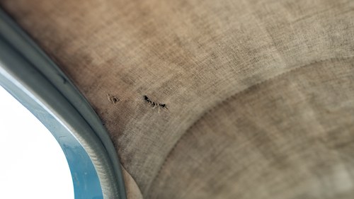 1954 Ford Popular En venta (imagen 37 de 103)