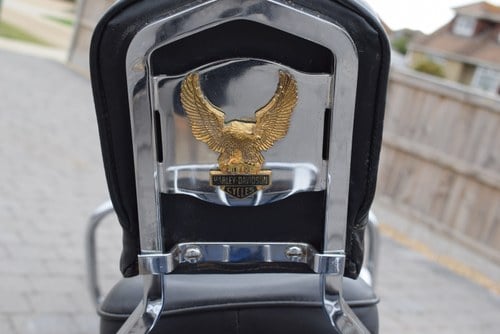 1990 Harley Davidson FXSTS Evo Springer Softail à vendre (picture 51 of 104)