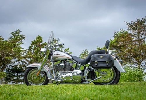 2005 Harley-Davidson Fat Boy CVO Screamin’ Eagle Te koop (foto 8 van 163)