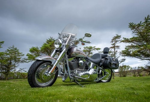 2005 Harley-Davidson Fat Boy CVO Screamin’ Eagle Te koop (foto 1 van 163)