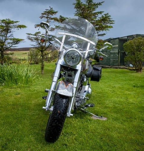 2005 Harley-Davidson Fat Boy CVO Screamin’ Eagle Te koop (foto 20 van 163)