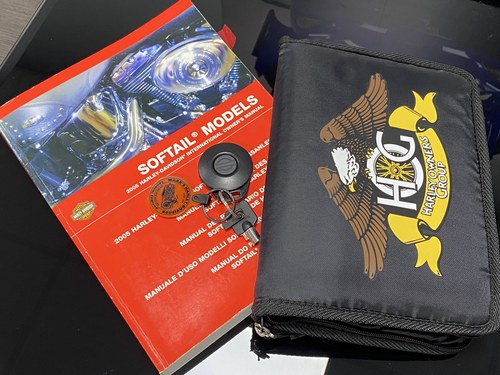 2005 Harley Davidson FLSTNI / Softail Deluxe à vendre (picture 119 of 125)