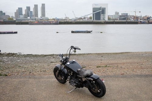 1983 Harley-Davidson XLX Sportster Custom à vendre (picture 22 of 112)