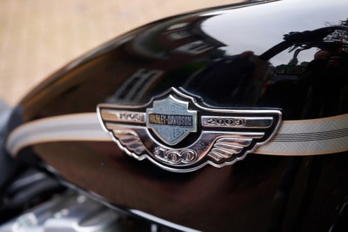 2003 Harley Davidson Sportster XLH883 Hugger 100th Anniversary Edition For Sale (picture 99 of 103)