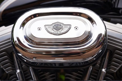 2003 Harley Davidson Sportster XLH883 Hugger 100th Anniversary Edition For Sale (picture 32 of 103)