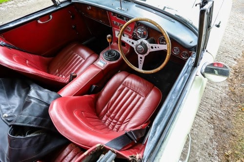 1966 Austin Healey 3000 En venta (imagen 21 de 150)