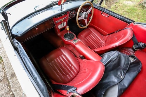 1966 Austin Healey 3000 En venta (imagen 30 de 150)