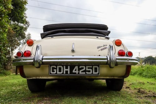1966 Austin Healey 3000 En venta (imagen 6 de 150)